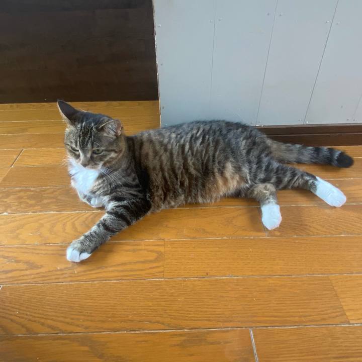 3cebb378 bdc1 497e 8613 54932e803c6a 1659141490066