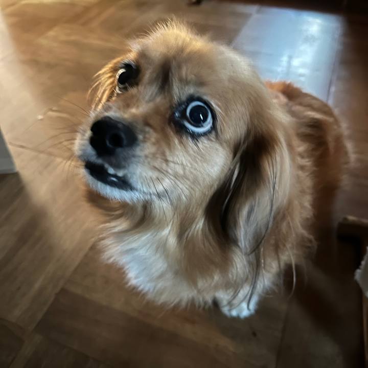 3cec020a 6bb3 464b 867d 5d01bffa0d28 1698969955558