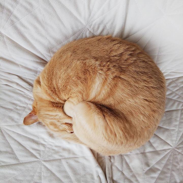 3cec2946 670d 47a1 ad4a b323fc22153e 1680320876118