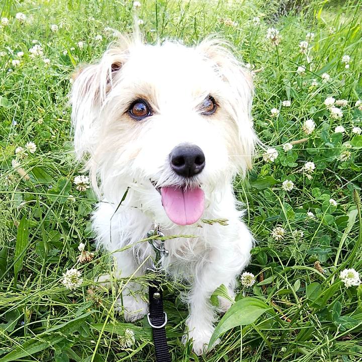 3cec4b8e 842a 4b6c 8330 9c85693fb50f 1558251565166