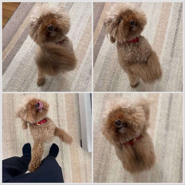 3cec7a73 1c30 4e30 bf52 392a78a1a7d9 1758757982211