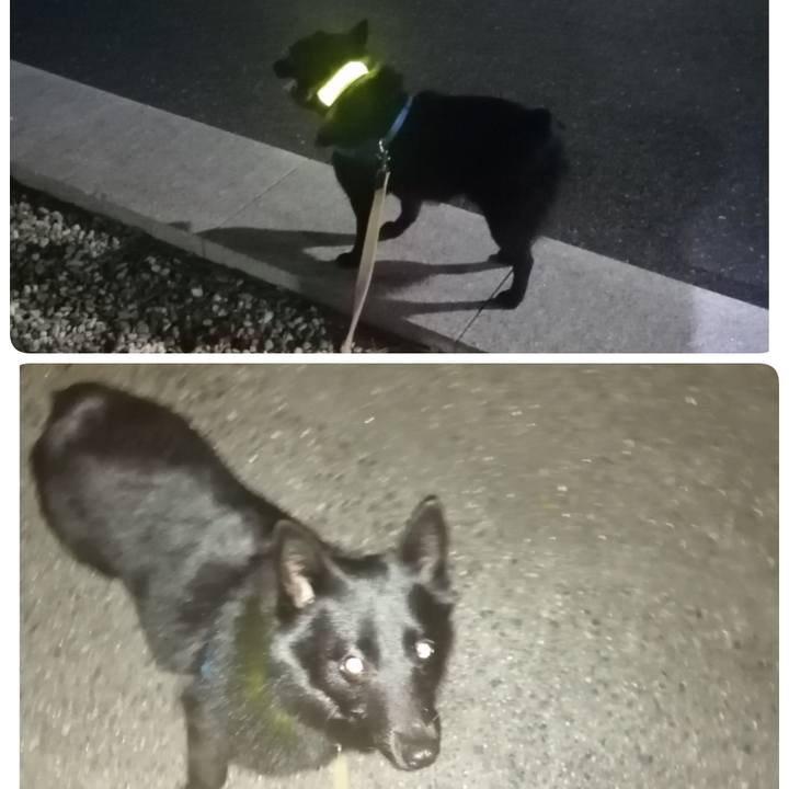 3cec8d73 8975 41e5 9053 035d7efd569d 1628078740129