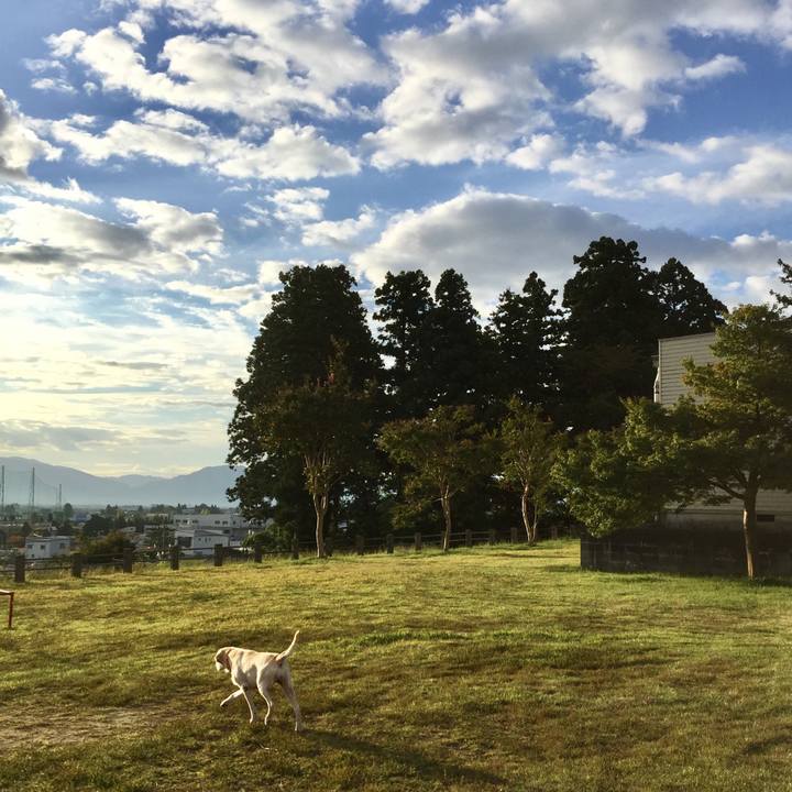 3cec91ee 9e4d 463b 9e6b d39863cc98cf 1565347457627