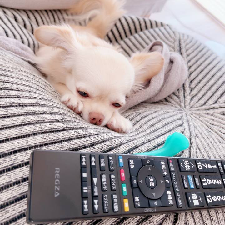 3ceca766 6937 4054 bdcd 1c2db053a3a1 1693464519391