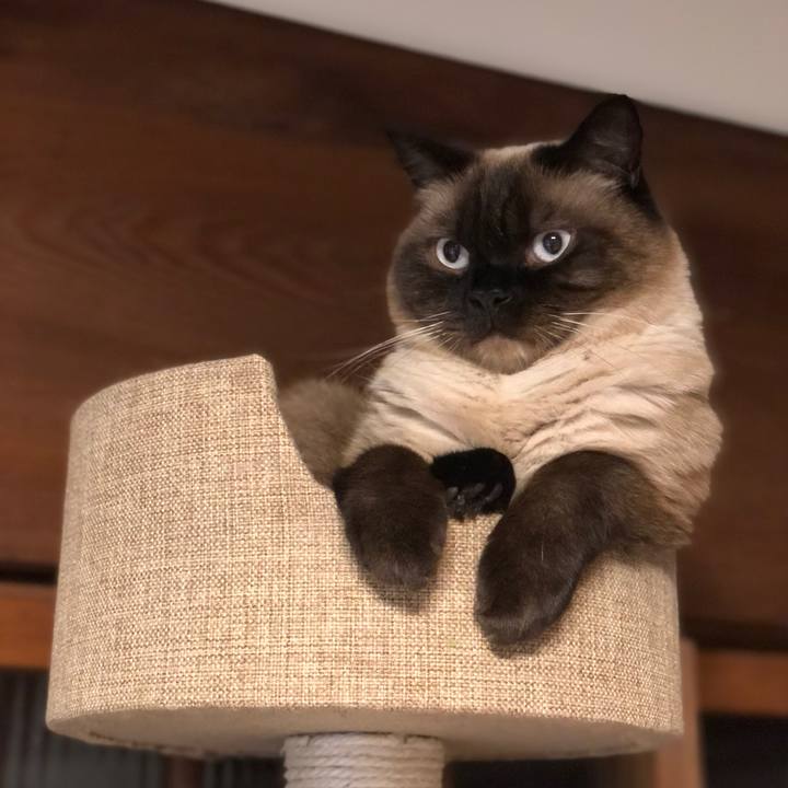 3cecf152 d53f 47f0 867c 00f868ff2155 1625023460291