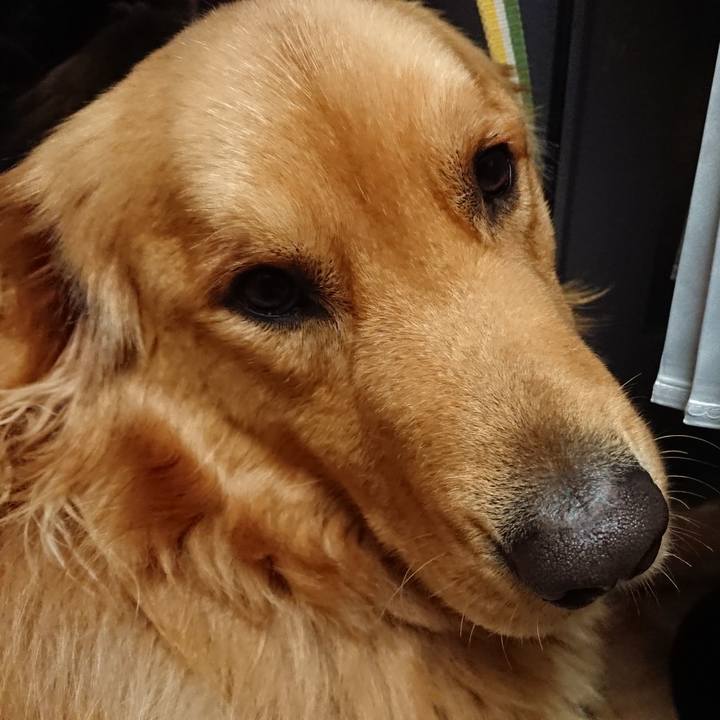 3ced0c55 27b6 477f 97aa dac8a474a3ef 1545047213820