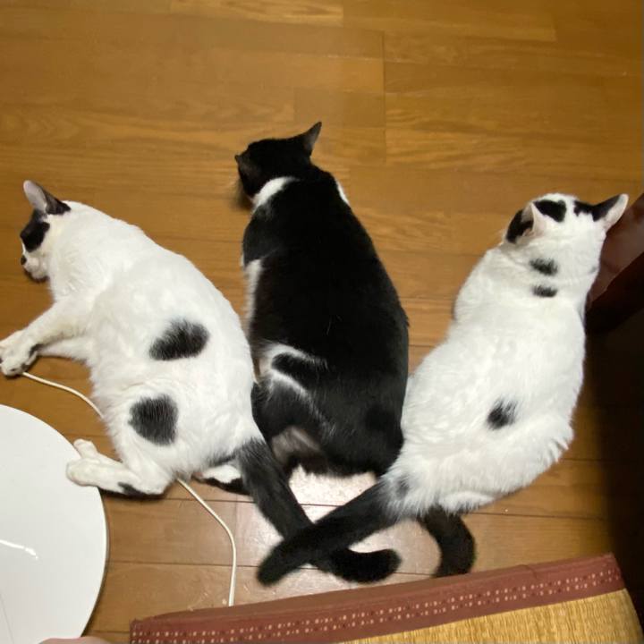 3ced3105 b123 4e3d 8205 d5762a9a8f31 1663068508863