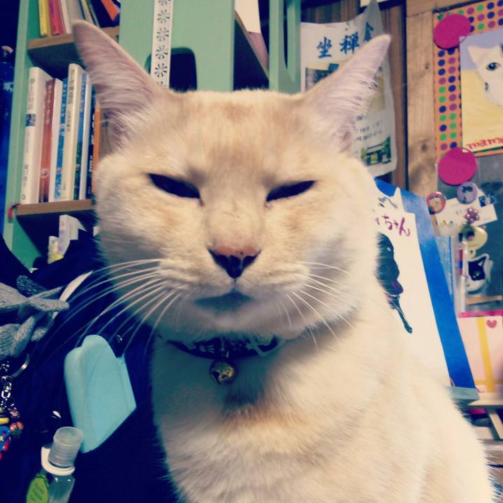 3ced3960 f429 4a3b ba17 f946a734402a 1513604443687