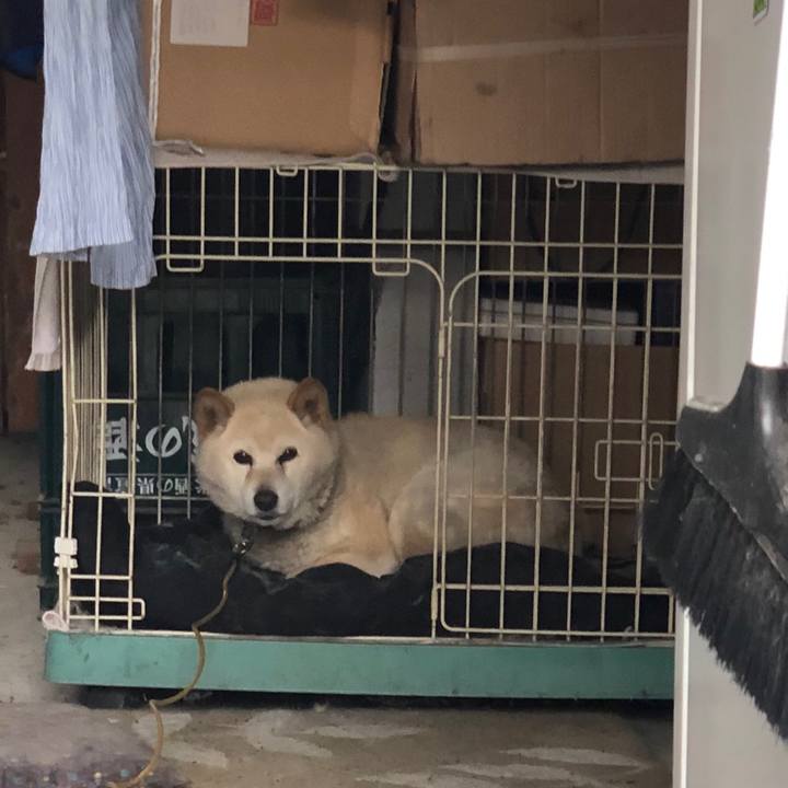 3ced59f1 71ac 4be1 bdbe cd678d5acbd2 1544882437029