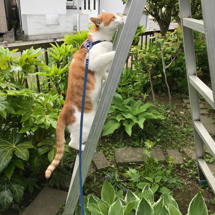 3ced5da9 5c8f 4dde a504 a3e9c4850f72 1526177745541