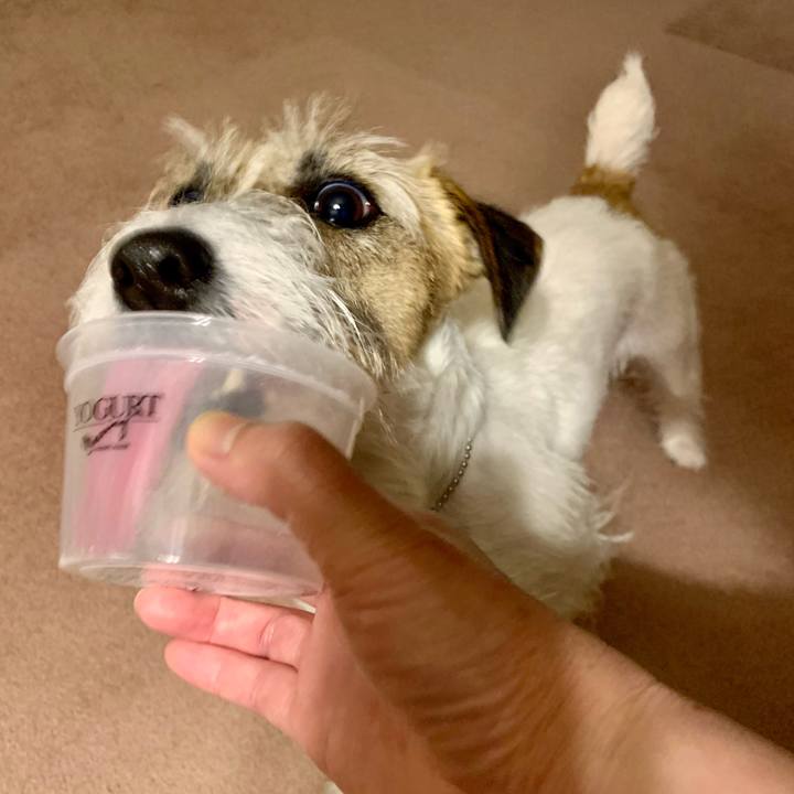 3ced6536 a509 4787 afe6 3e07d352cd0b 1615631902312