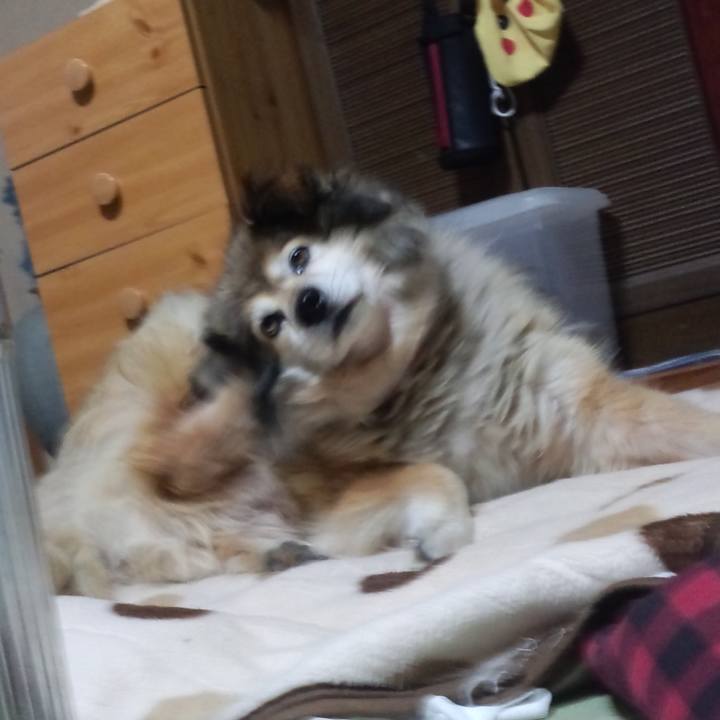 3ced82f1 1865 40a0 96b9 409f3ac6ab92 1609118514287