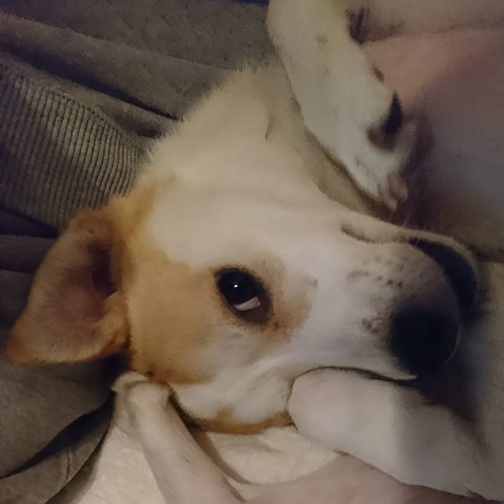 3ced9d28 8bf1 4a1f b1b5 8e010d8d23b9 1518842273895