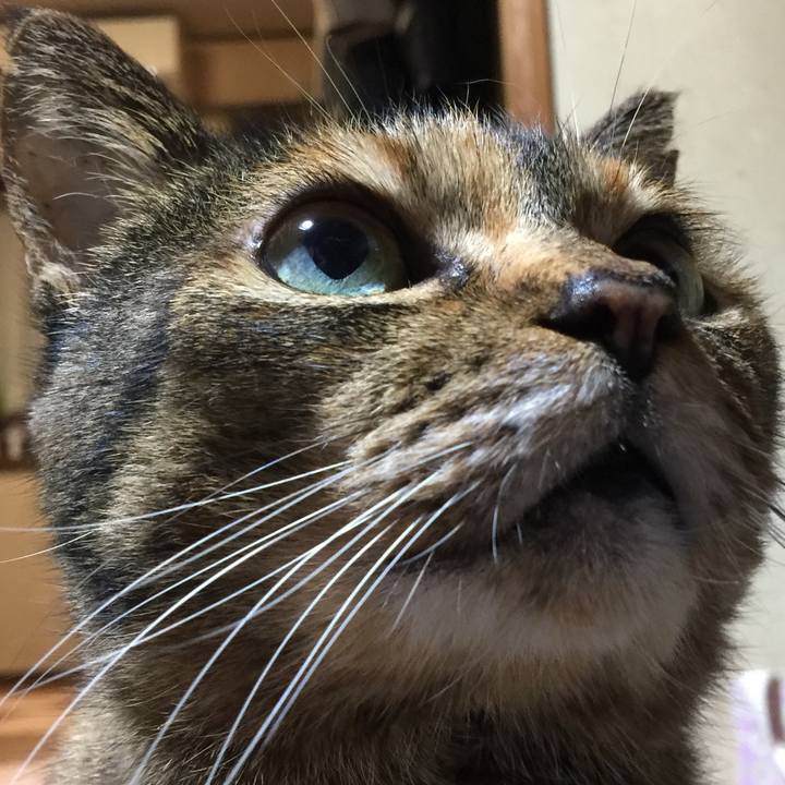 3cee3148 5f8b 4be1 8de7 0021f558b17d 1542114618479