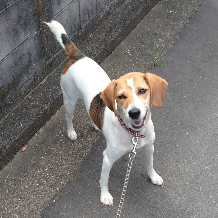 3cee47fe 04b1 460d 9ad0 88bea1e1ada9 1596078066676