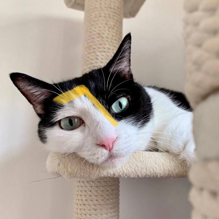 3cee60d6 0f5c 49c7 974a f07d7251f775 1686873894561