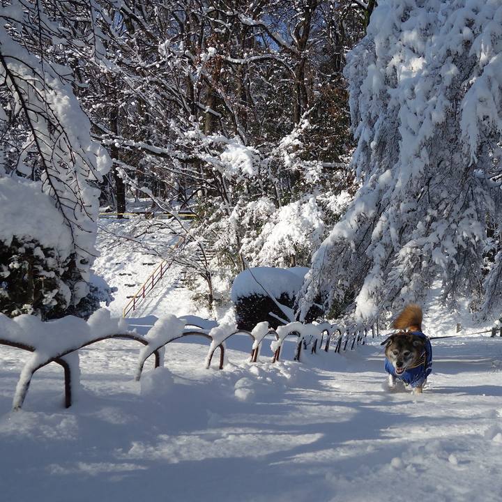 3cee7012 4118 4416 ae8c c8dd94e40100 1641517091520