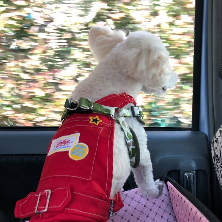 3cee814b dd6b 482f 87e0 792ee9c739c3 1525946273291