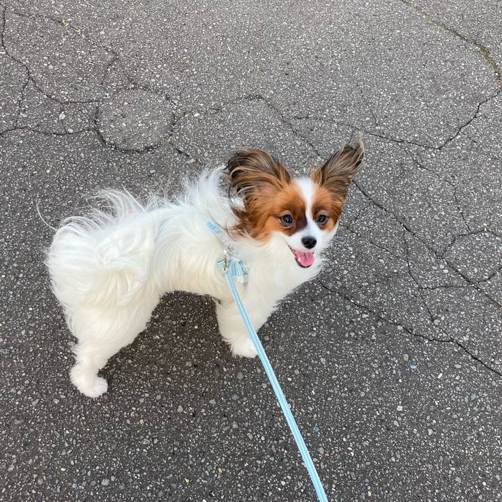 3cee8750 7c8a 4a25 b518 49b3d82c6847 1630631700544