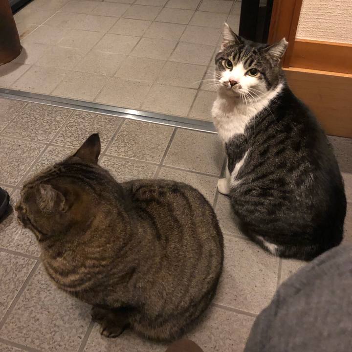 3ceeabff bf9d 400a abe5 862255995c2f 1514713294719