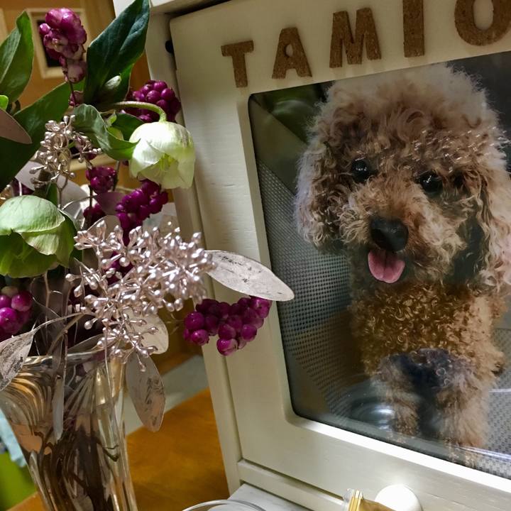 3ceee7f5 efd1 4d19 9a2c 8b688b1ffba0 1575381133384