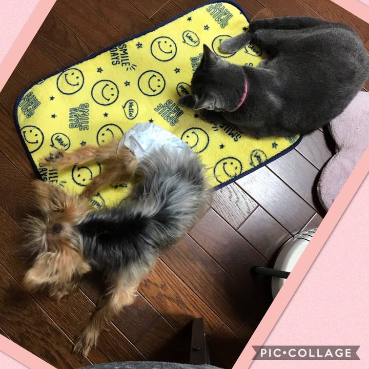 3ceeec99 fe39 46a4 8d26 8c9b5180f38c 1539473474154