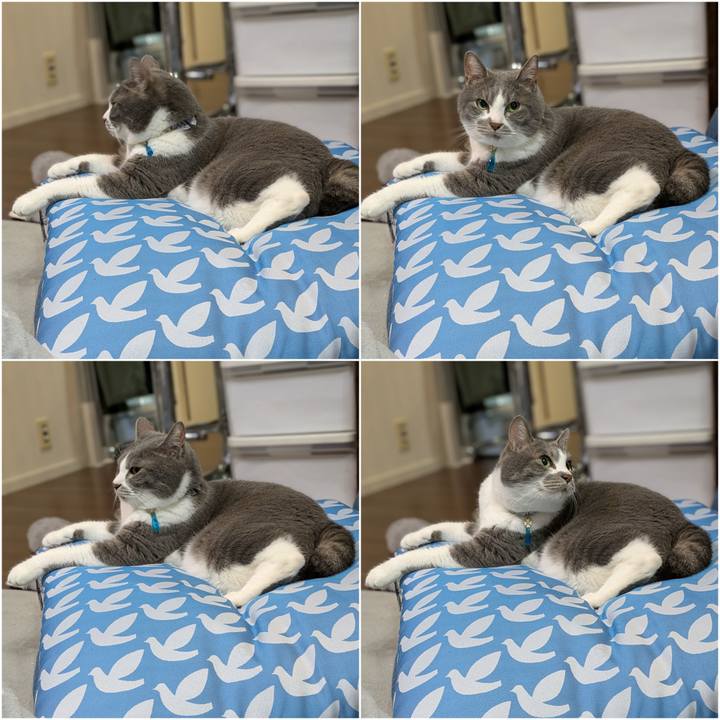 3ceefa6c 4e94 49b9 8697 30152f0e422e 1745151196479