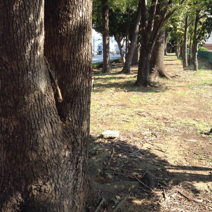 3cef04b5 39fa 4dcd acc3 d359b6926033 1539837217052