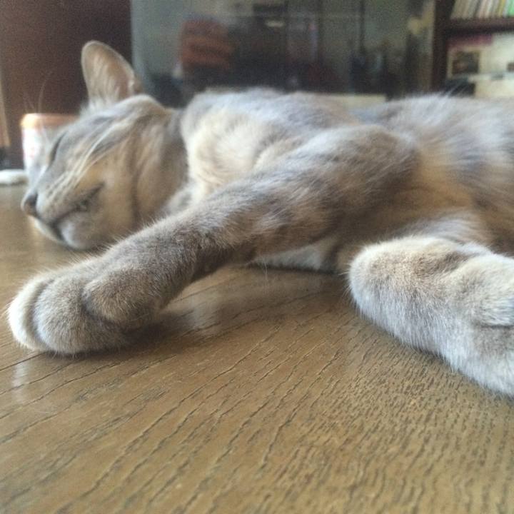 3cef1825 d326 400a 8d8f 2c9a5e2ca95d 1530442350906