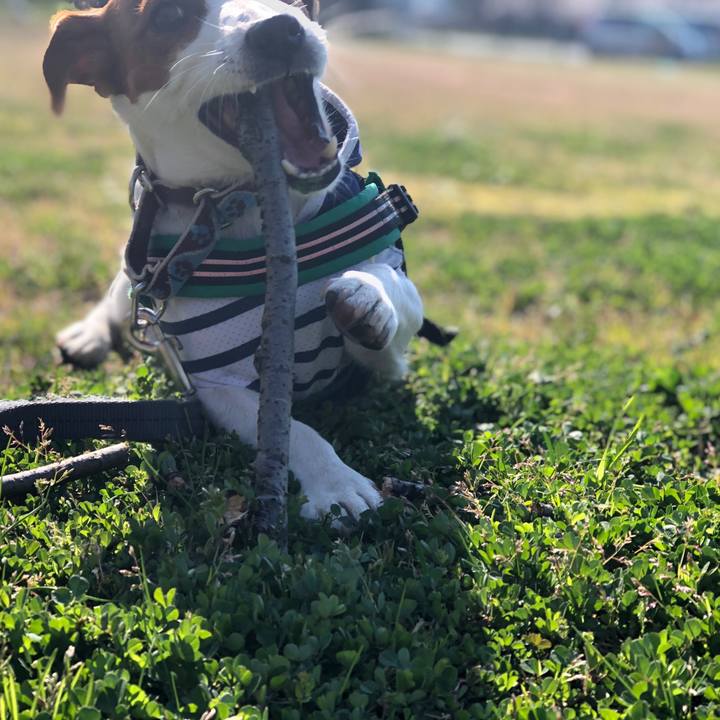 3cef516d e5cb 4c21 80ac b40cd0f4c9c8 1554368546062