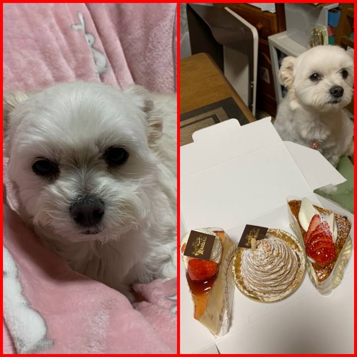 3cef6729 dcca 4532 81af 5de42cfe2fd3 1576491637081