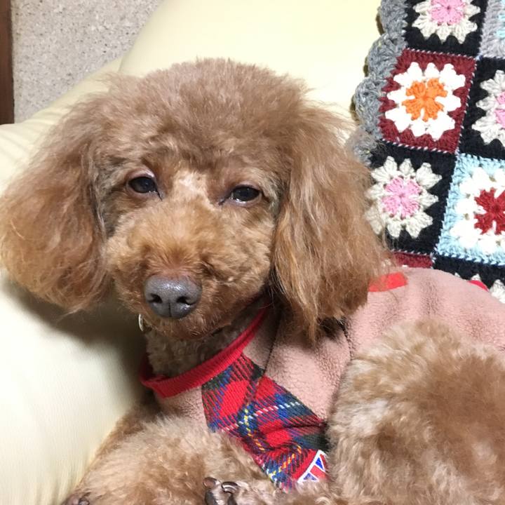 3cef6781 b633 4c6b a94e eaa96d132669 1518954074267