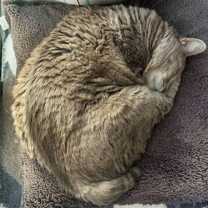 3cef87b7 9d2f 42af 9dcd 9a35fbf39d10 1643695135380