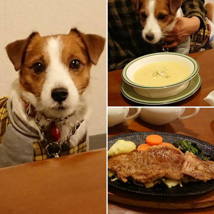 3cefa087 fc2c 4b94 9bca bd23b2b63d6e 1543749826257