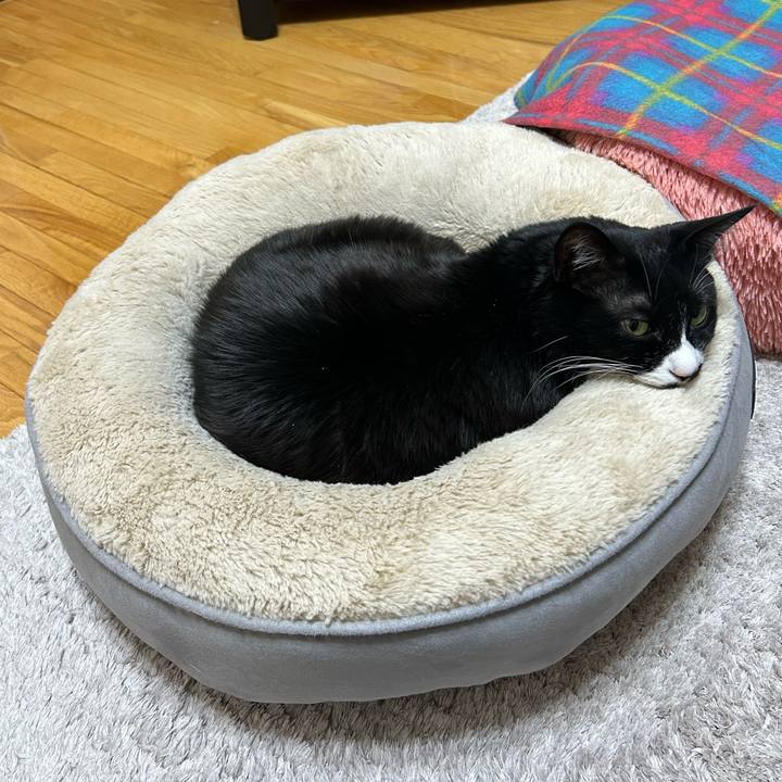 3cf092a6 ac37 4675 b273 ebe9caf07712 1774015529661