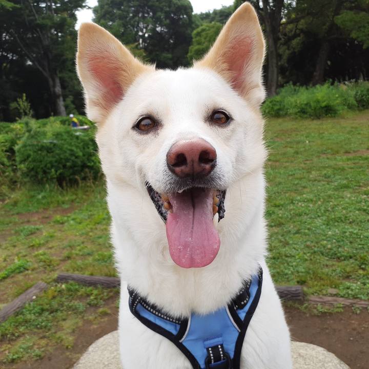 3cf0ae4d 3218 42c9 ac33 2b07724ecd62 1655512278669