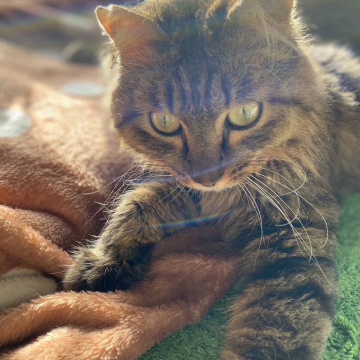 3cf102b8 574b 4ec3 807c 183eec1664e9 1700959639599