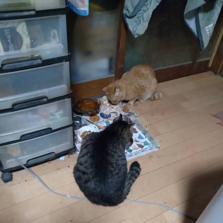 3cf12171 b783 4a8a 92b2 b02f1d54e3fc 1670362706977