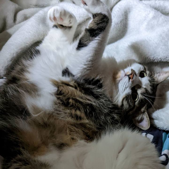 3cf12db5 ed4d 4587 8844 c7a4637f821e 1667608421416