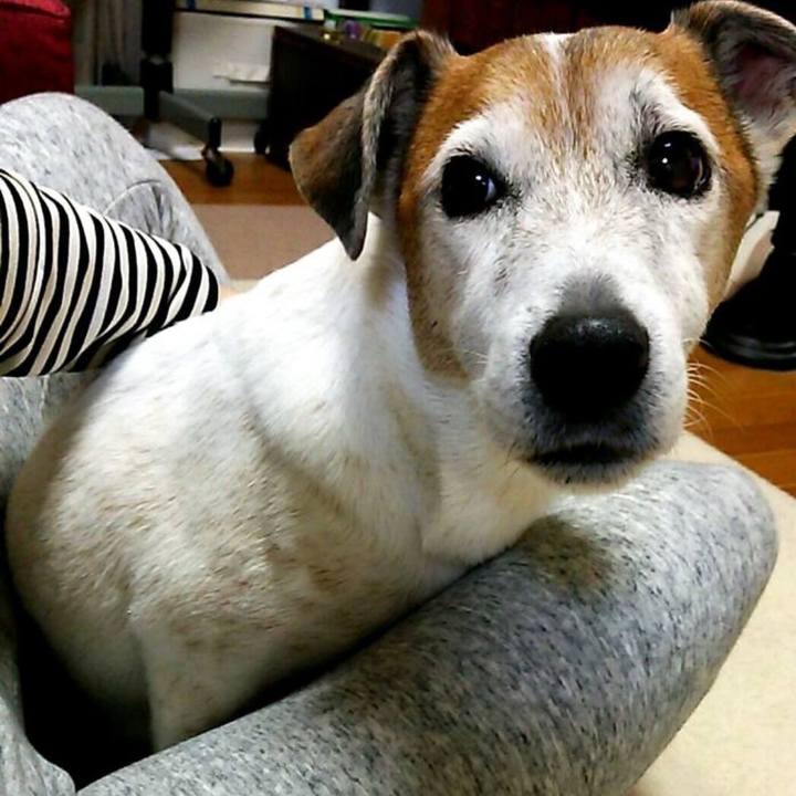 3cf13367 1897 4207 bd4e 0bfc50824ce3 1764540505288