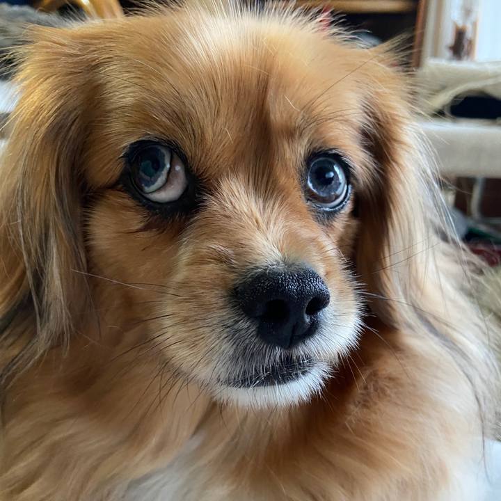 3cf13e59 4061 49d1 a4a2 428cc5af9f3e 1652218811630