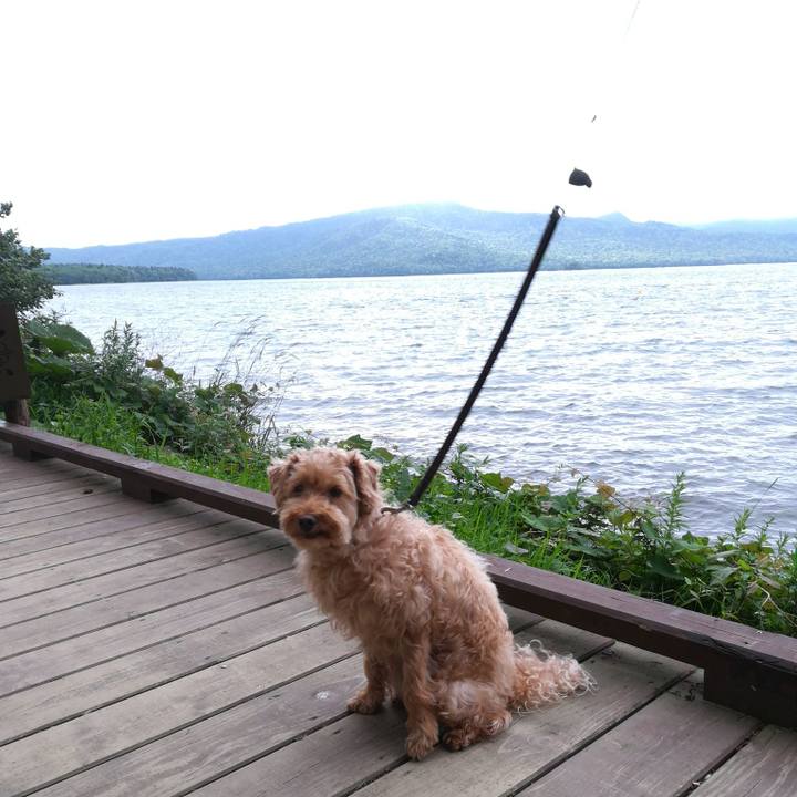 3cf15843 da9e 42fb 89f8 4e3df53808ae 1532244891548