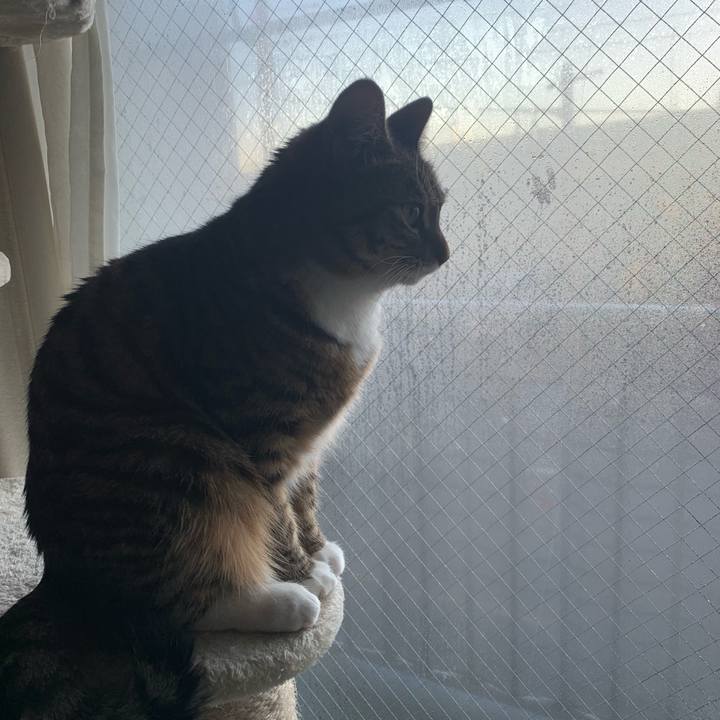 3cf163c5 ae5e 4166 9aae b44252746fff 1547295112211