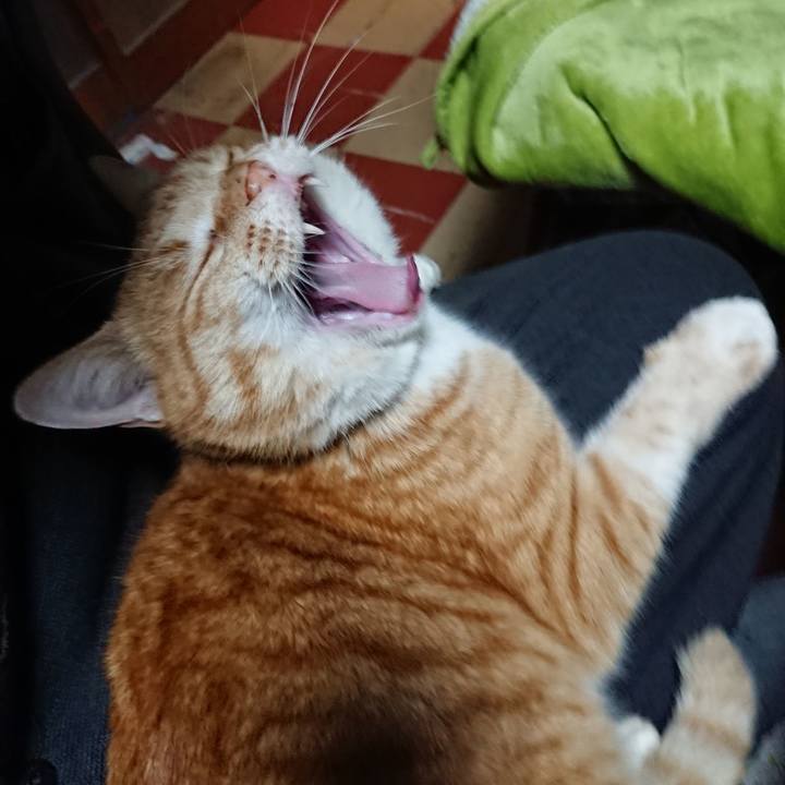 3cf170fa 23c5 47c0 95c5 e881c5afb56b 1582189992499