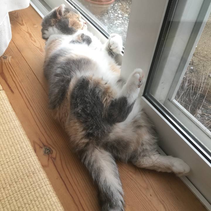 3cf1bf88 eb5a 44c9 98dc 7ff526ada3b0 1568711348746