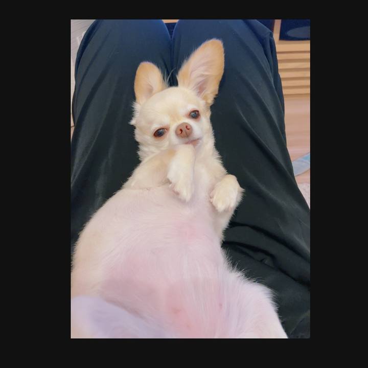 3cf1c92d 3dc6 4885 80a4 a2d8181aab26 1757940244040