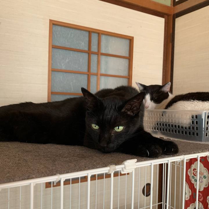 3cf1d090 dfd5 433e 9b99 68b053ceba89 1597712230975