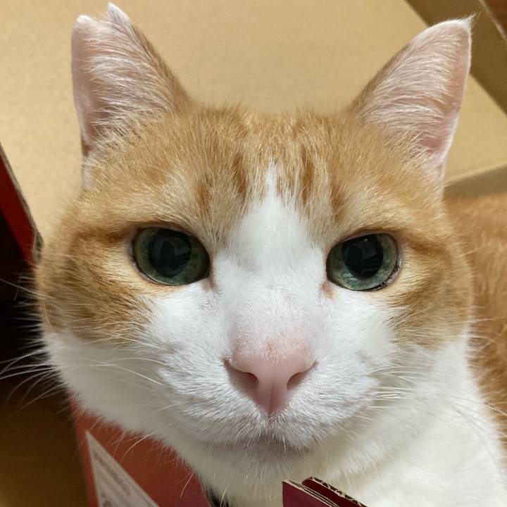 3cf1dc7d bc41 4105 92e4 9ae232e99017 1764199805733