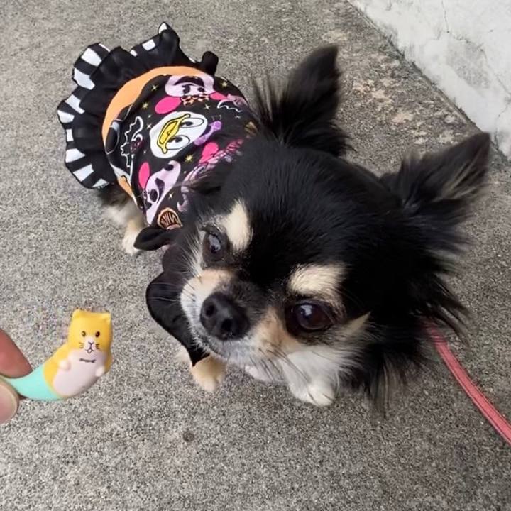 3cf1e214 5866 4fb1 add1 d056efcaddeb 1633563196341