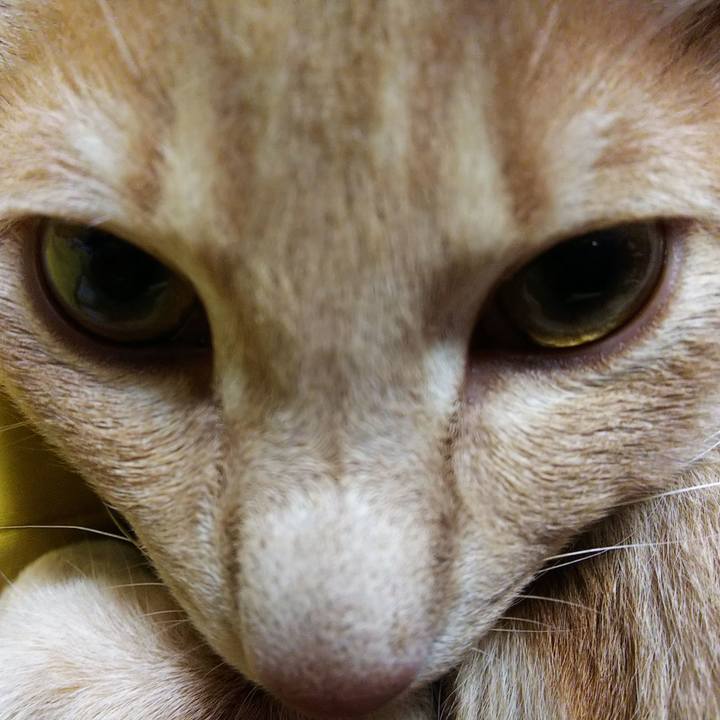 3cf1ee99 0a57 4b4e b2ef 4b849af5ef25 1548852108681